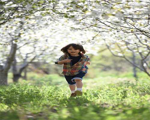 供卵价格：北京哪个医院能做试管婴儿移植术